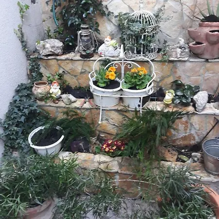 Apartmán Angie